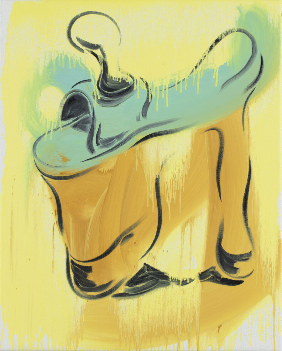 Shoe